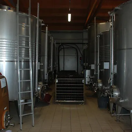 Il Palagione Séjour à la ferme San Gimignano