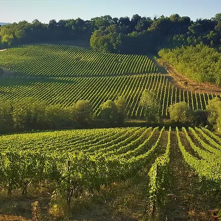 Il Palagione Séjour à la ferme *