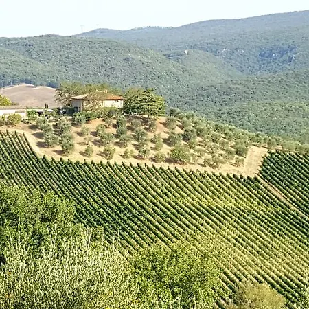 Séjour à la ferme Il Palagione