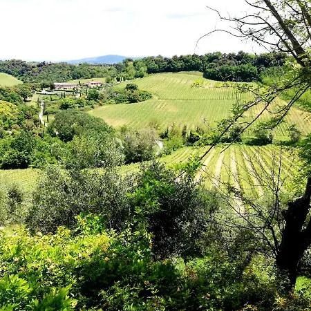 Il Palagione *