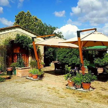 Il Palagione