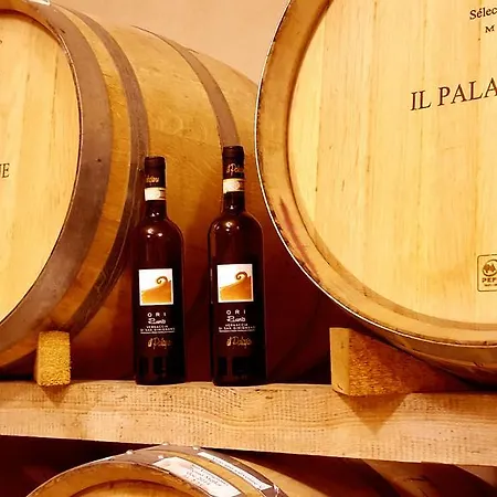 Il Palagione
