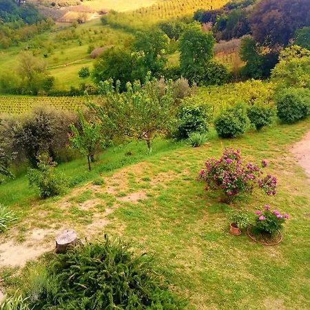 Il Palagione * San Gimignano
